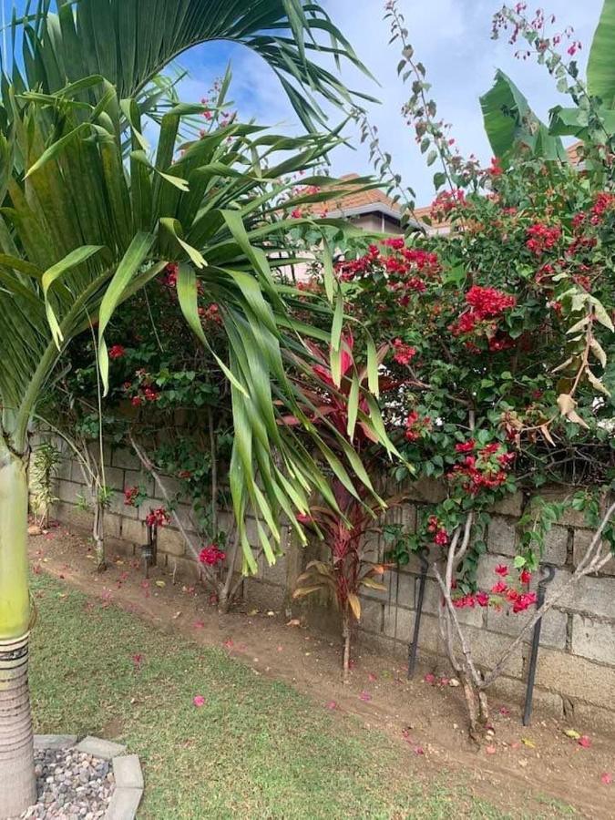 Modrians Bed & Breakfast Runaway Bay Luaran gambar