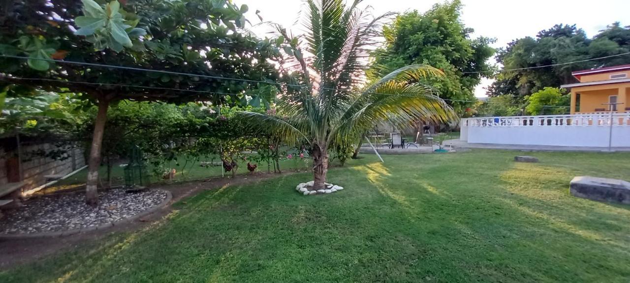 Modrians Bed & Breakfast Runaway Bay Luaran gambar
